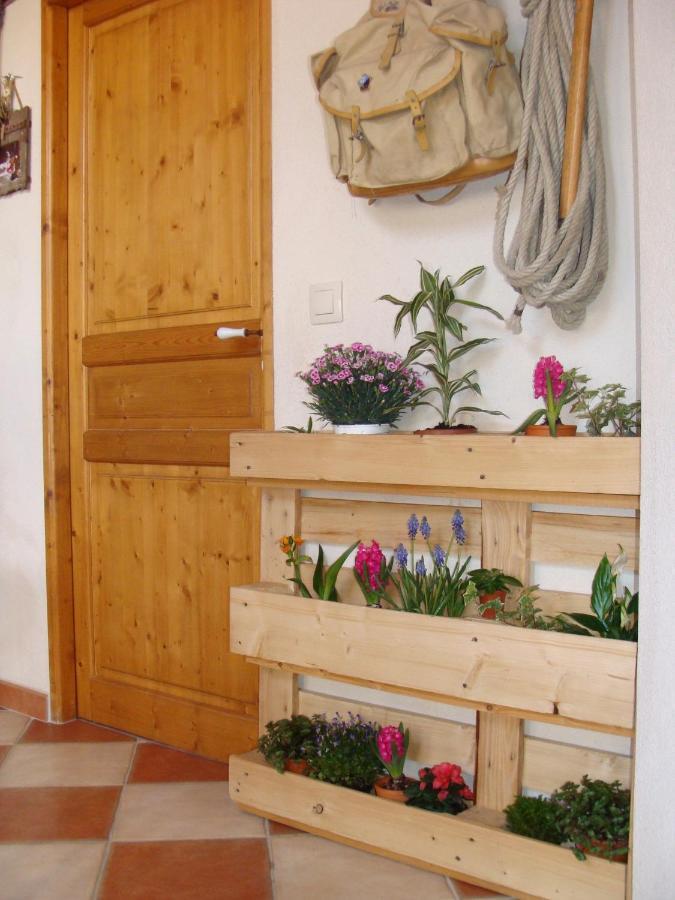 Stella Alpina Panzió Rimplas Kültér fotó