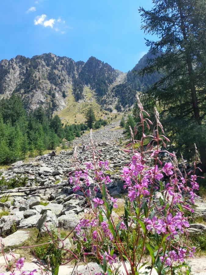 Stella Alpina Panzió Rimplas Kültér fotó